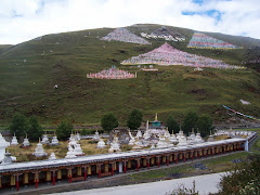 chorten "forest", prayer flags and om mani padme hung on chenresig hill
