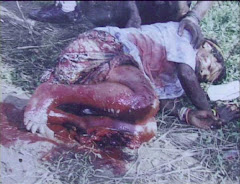 WEST PAPUA MAN EVER KILLED BY MILITARY AT CATHOLIC CHUCH IN TIMIKA WEST PAPUA