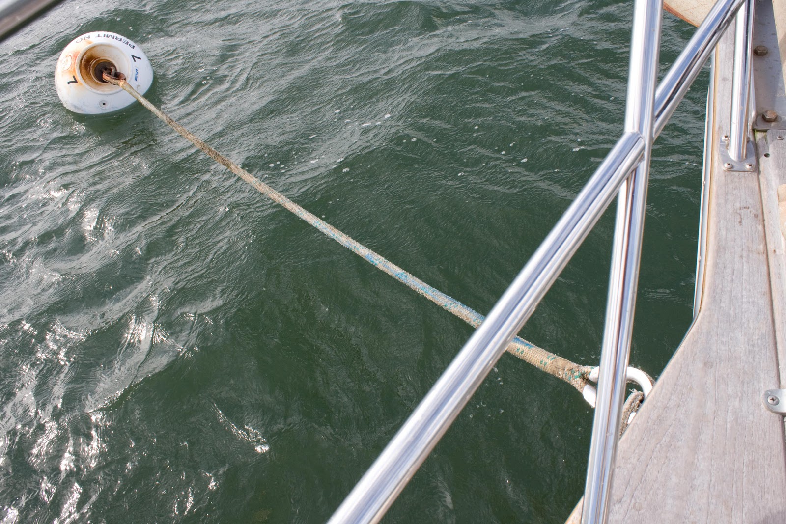 plodding in paradise WHAT A DRAG