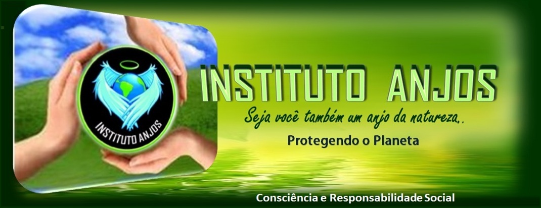 Anjo Ambiental