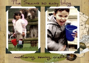 The seamsoeasy blog...
