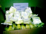STOK D'KOYOK KUNING