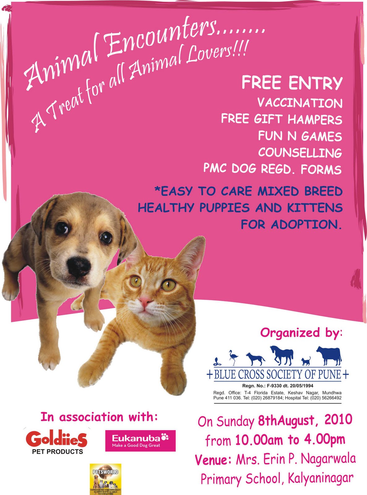 Free pets for adoption in pune