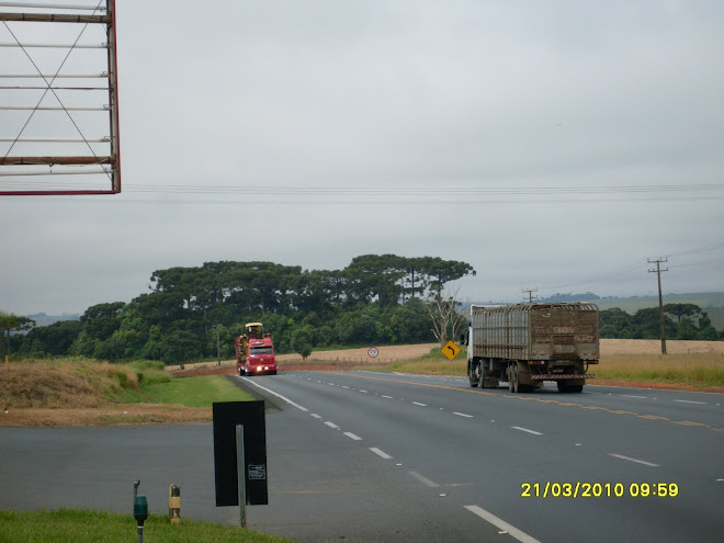 TRANSPORTE DE FORRAGEIRA AUTOMOTRIZ