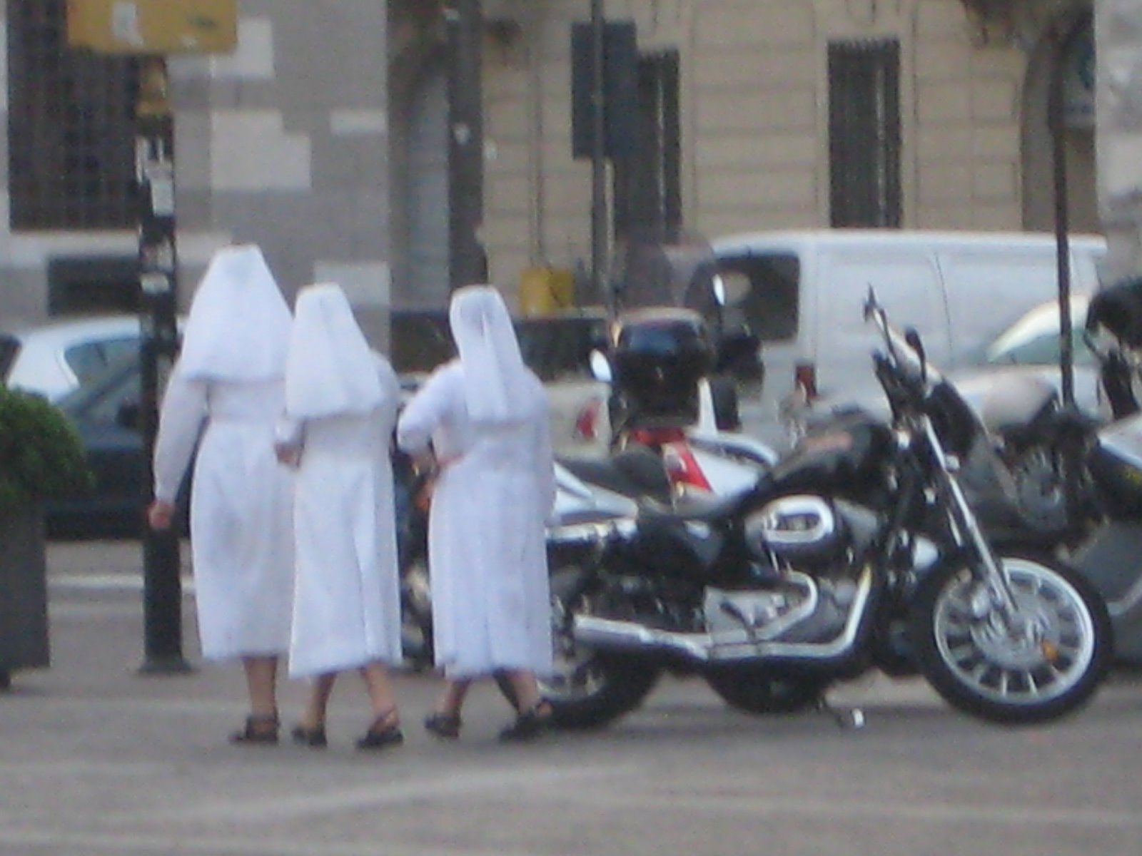[IMG_3526.JPG]