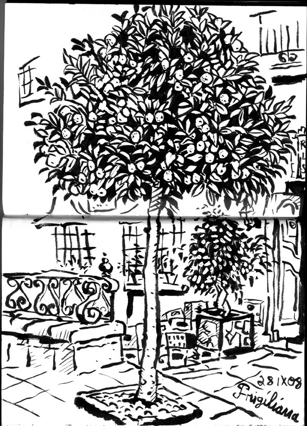 [Orange-tree.jpg]