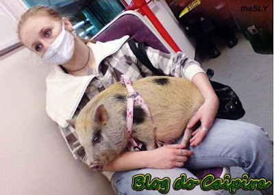 gripe suina humor garota com gripe suina
