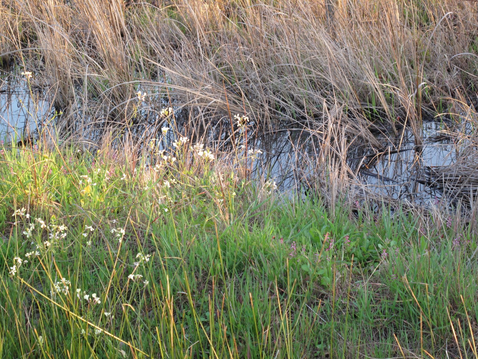 [13Mar2010+(158).JPG]