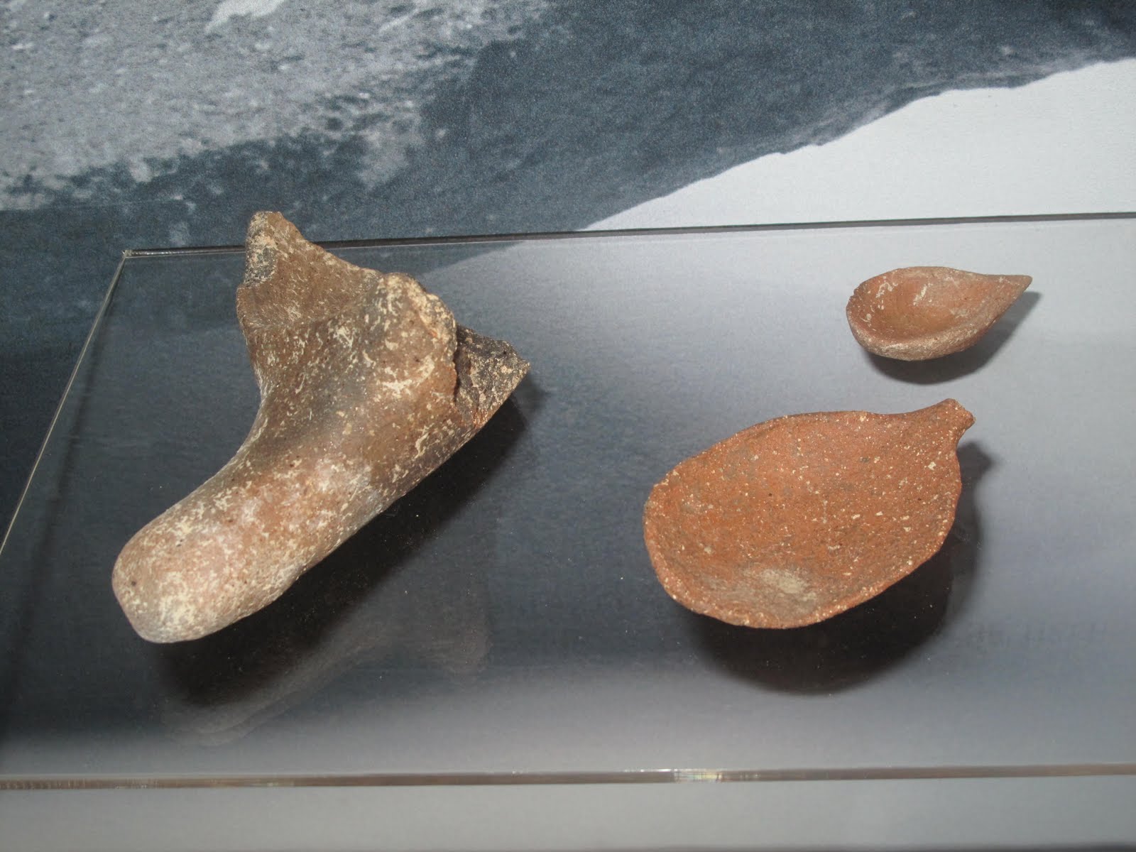 [PerdigõesExp+(4).JPG]