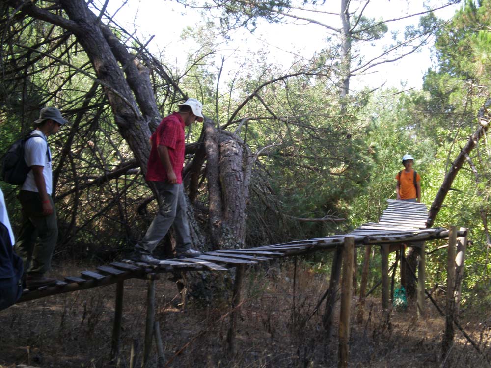 [FlorIndiosAlfarim1.jpg]