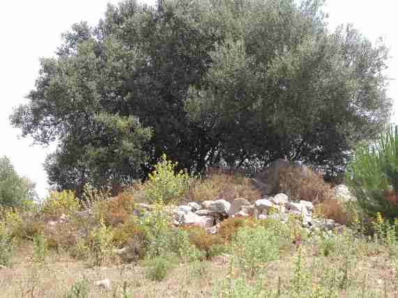 [DestruiçõesComIgrejac.jpg]