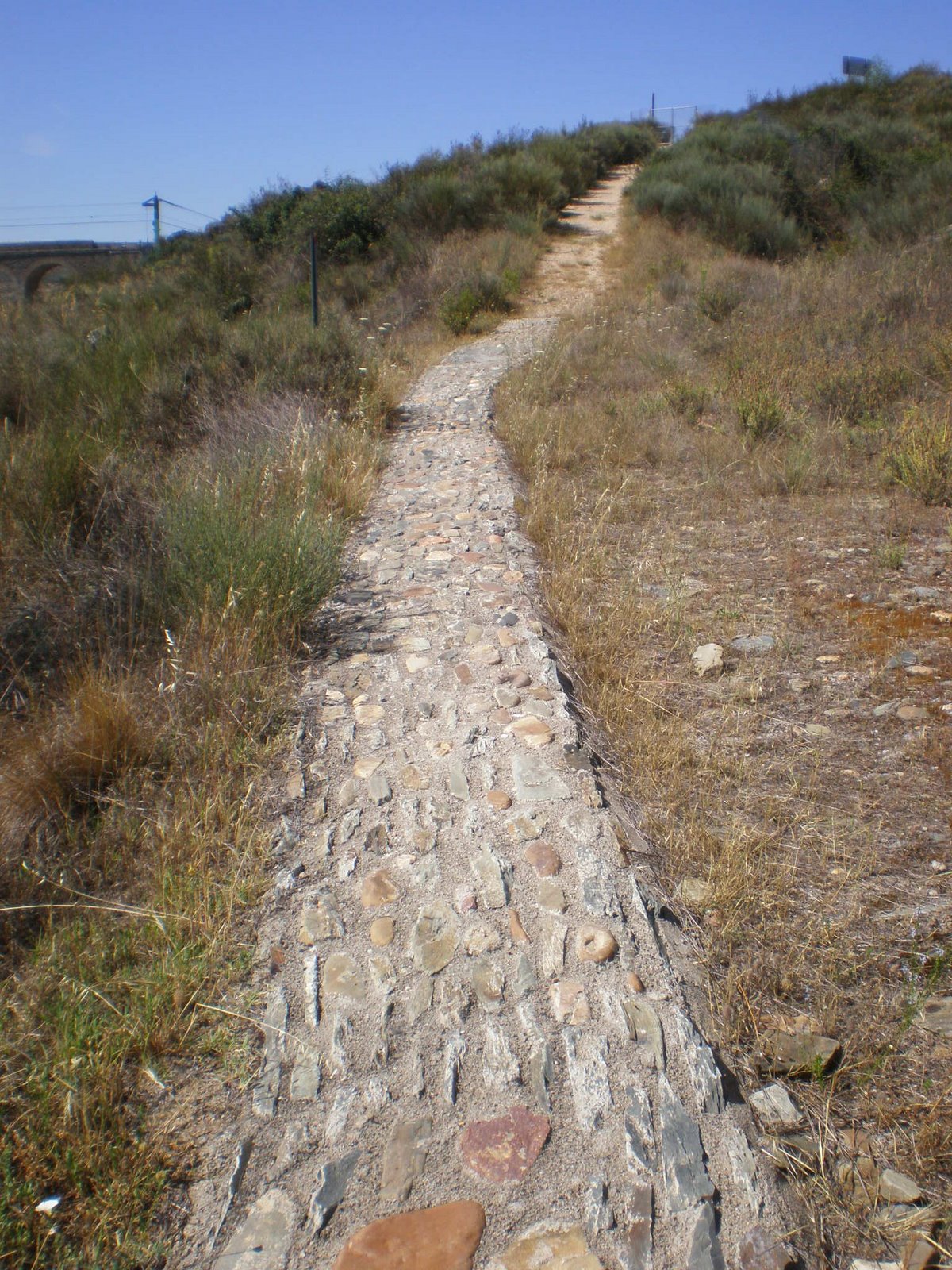 [20090701_SiegaVierde_0148.JPG]