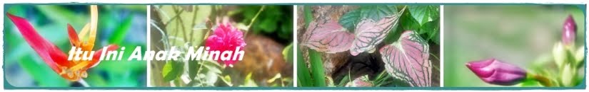 Itu Ini Anak Minah Bagai Burung Di Dalam Sangkar Emas