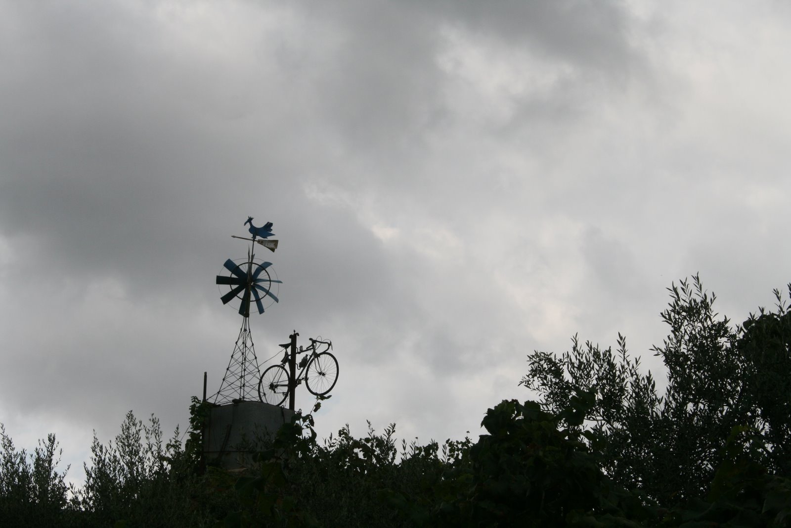 [IMG_2562.JPG]