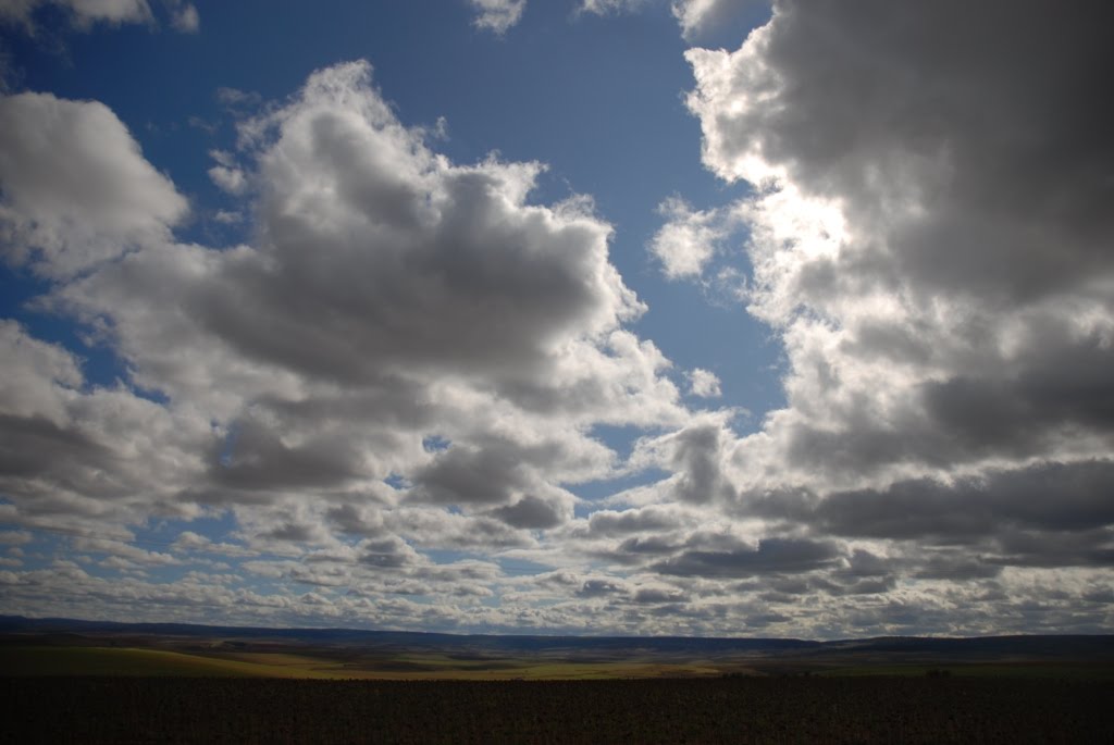 [DSC_7257.JPG]