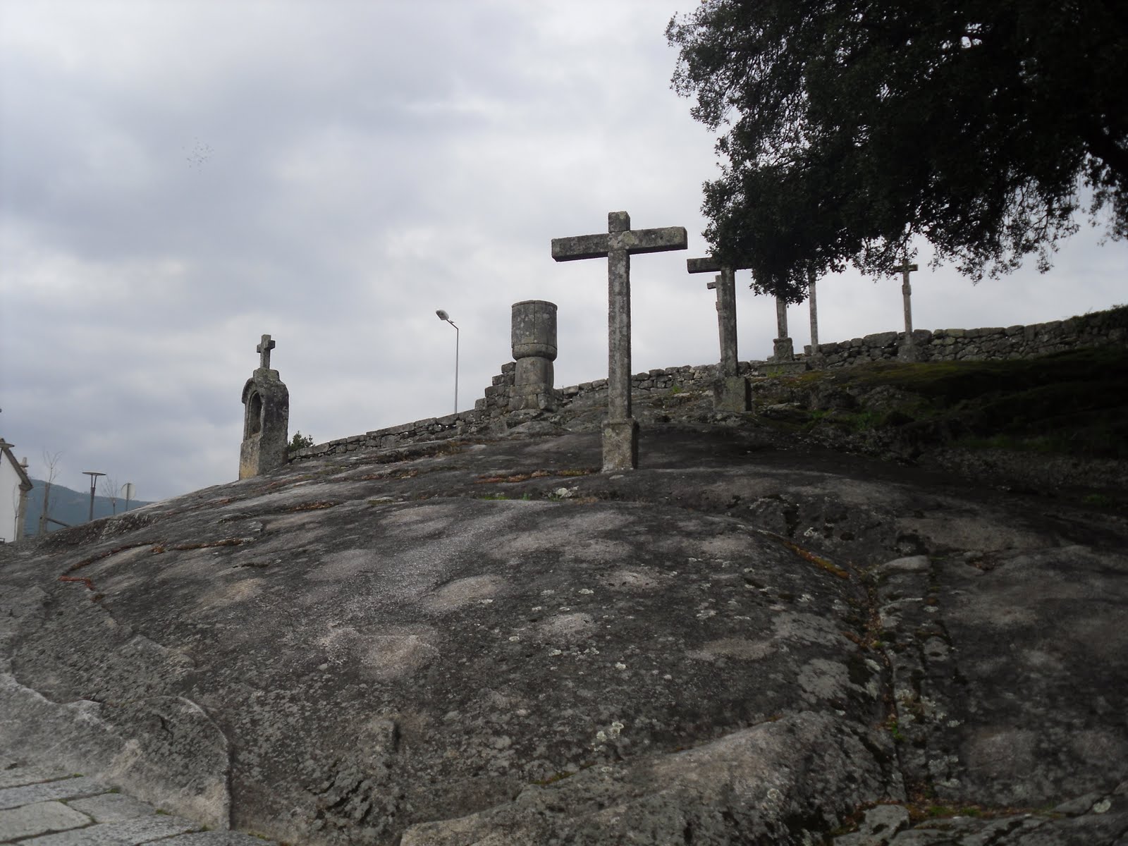 [SDC10682.JPG]