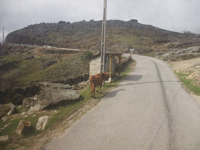 [DSCF0063.jpg]