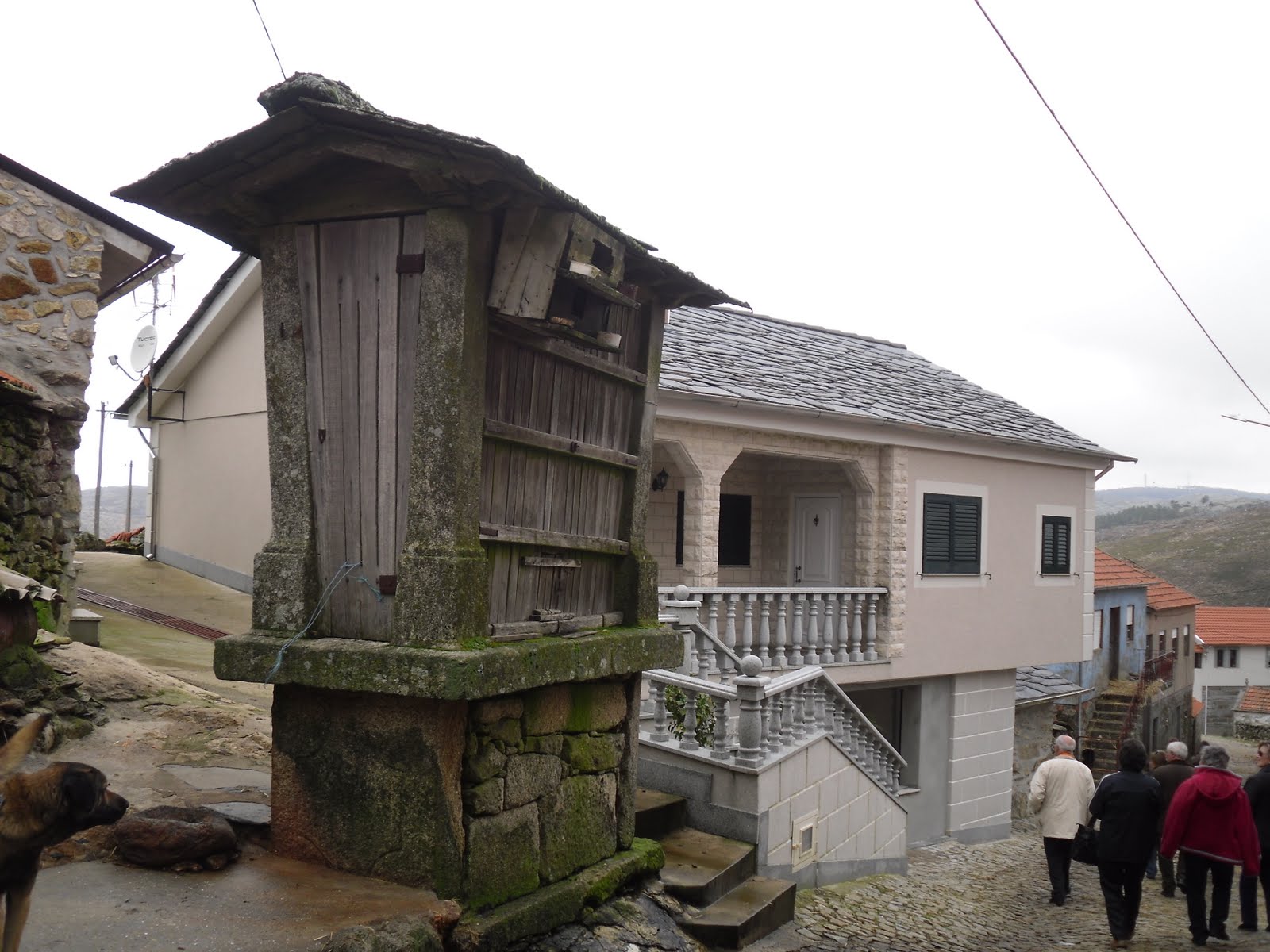 [SDC10648.JPG]