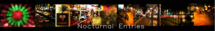 Nocturnal Entries