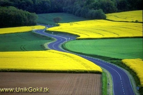 29 Foto Jalan Wisata Terindah di dunia, Nyesel kalo gak lihat