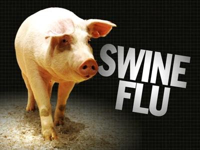 Health Disease Swine Flu