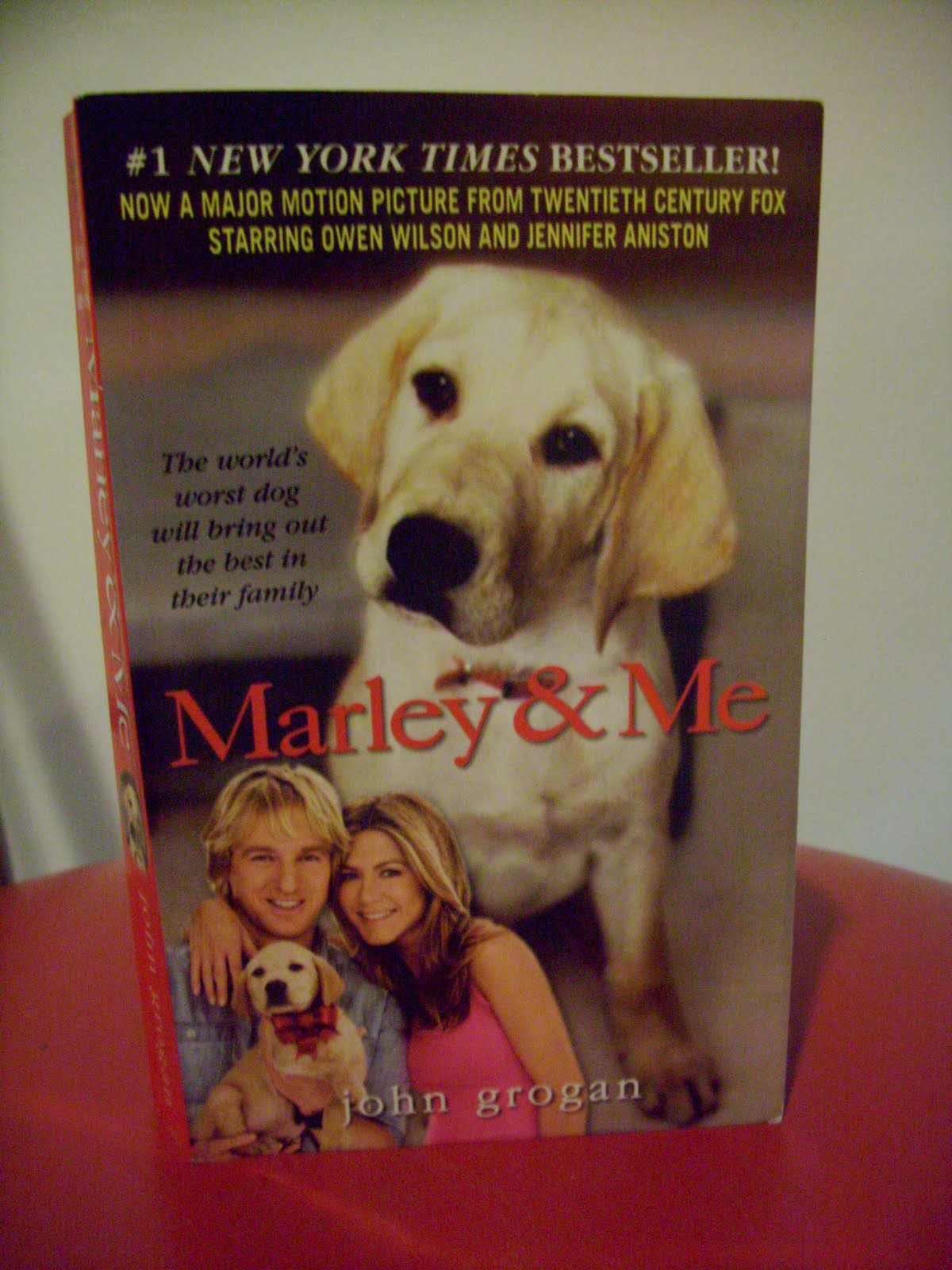 Marley and me amazon picture