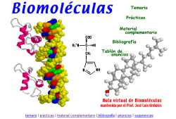 Curso de Verano Quimica II: Unidad III " Biomoleculas"