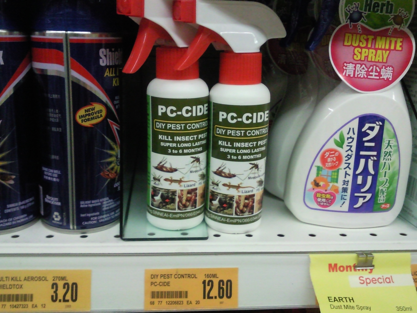 A Day In SG Bed Bugs on the rise in Jurong