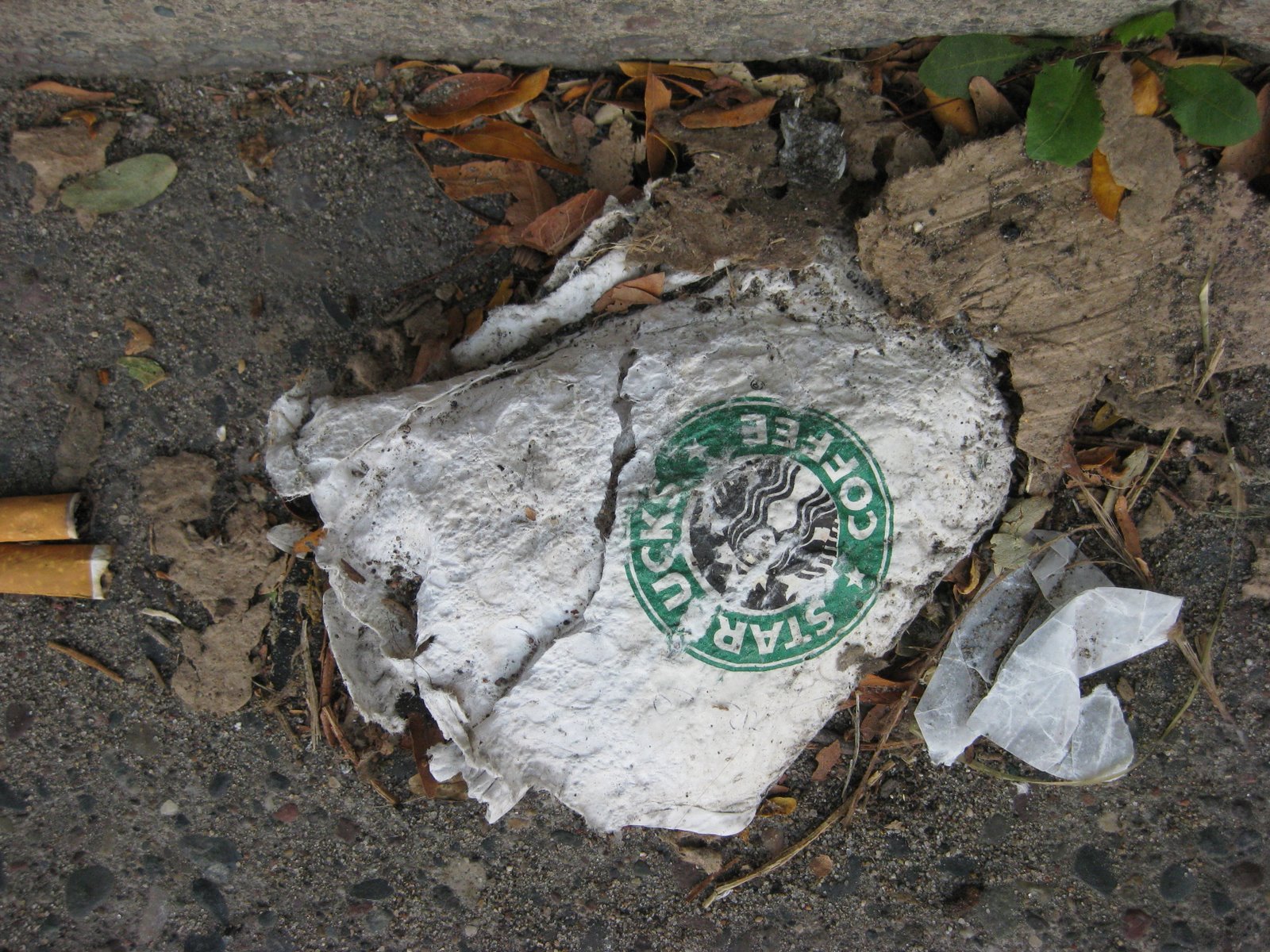 [BusStop497.JPG]