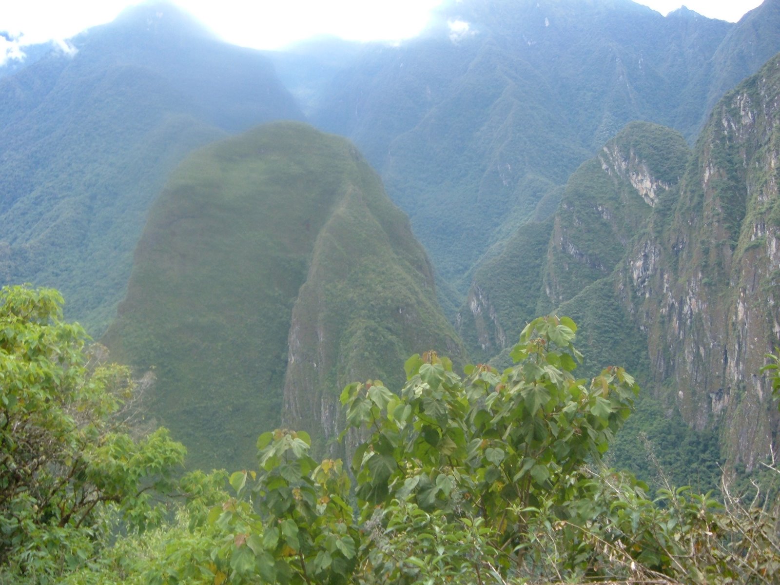 [DSCF0842.JPG]