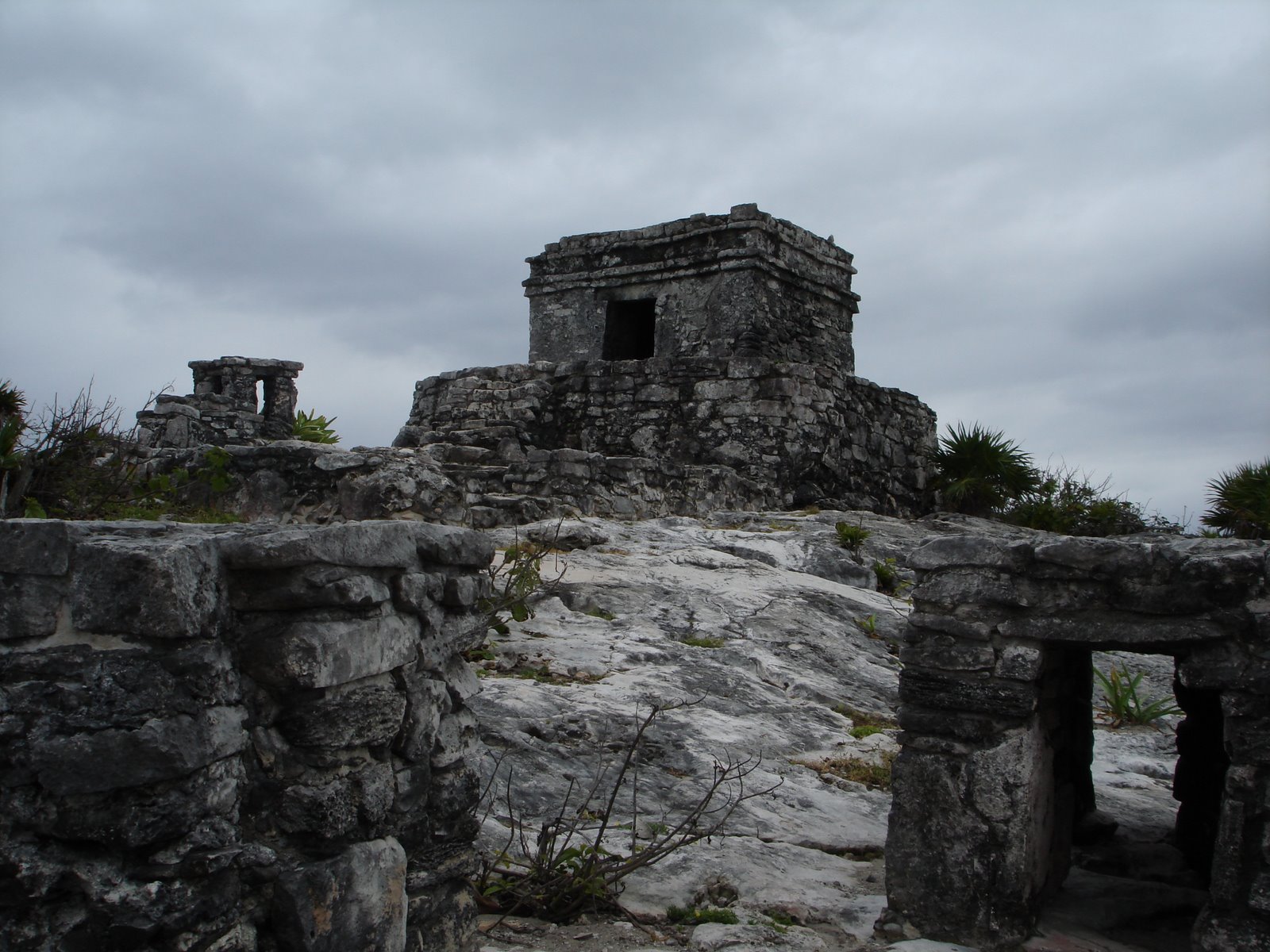 [DSC00262.JPG]