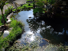 El Lago de QUICA.