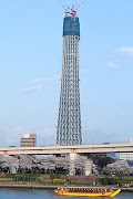 桜とスカイツリー (img )