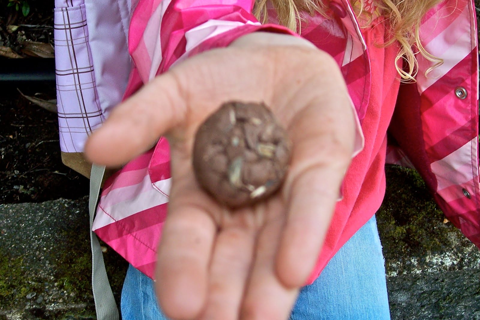 Ducks In A Row Garden Girl
