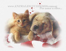 Mi foto