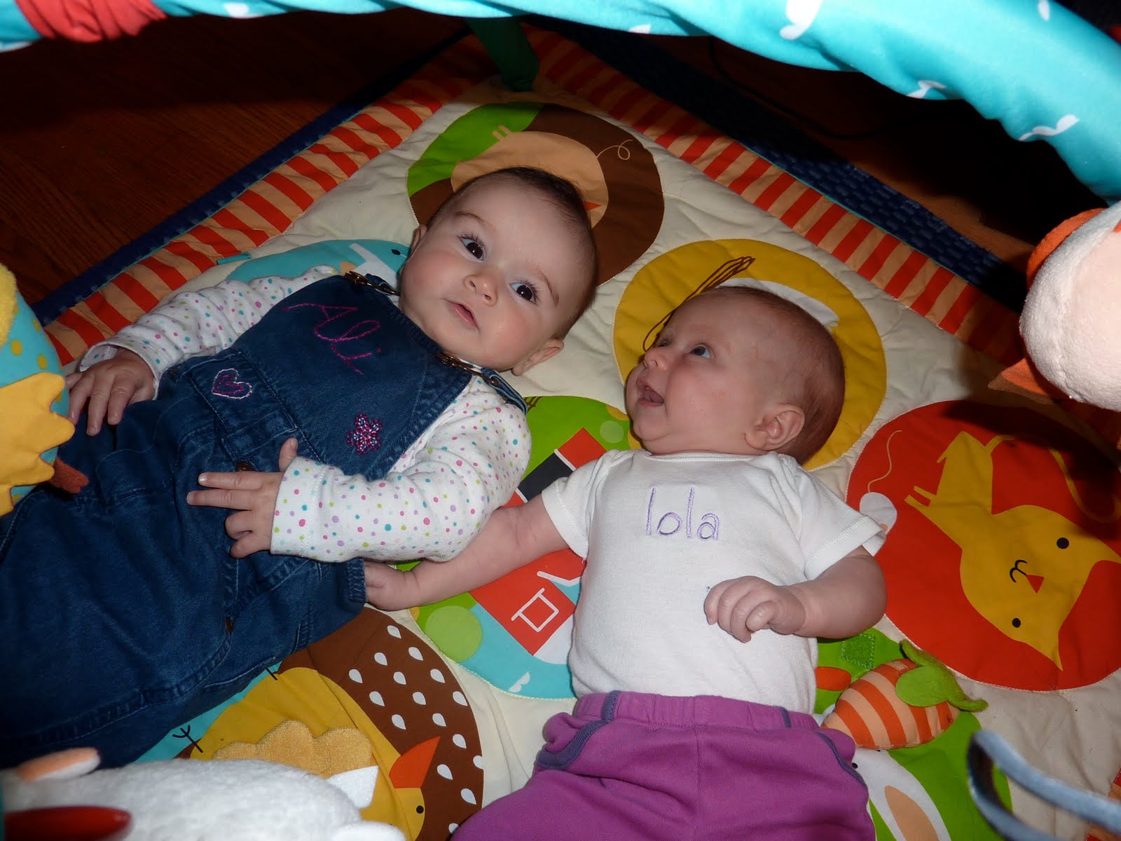 [P1000552.JPG]