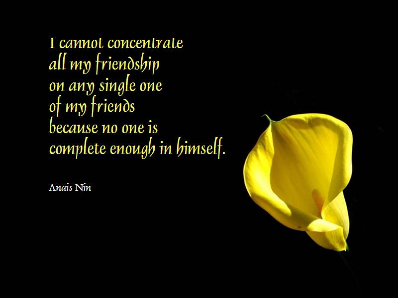 quotes about friendship ending. friendship quotes with