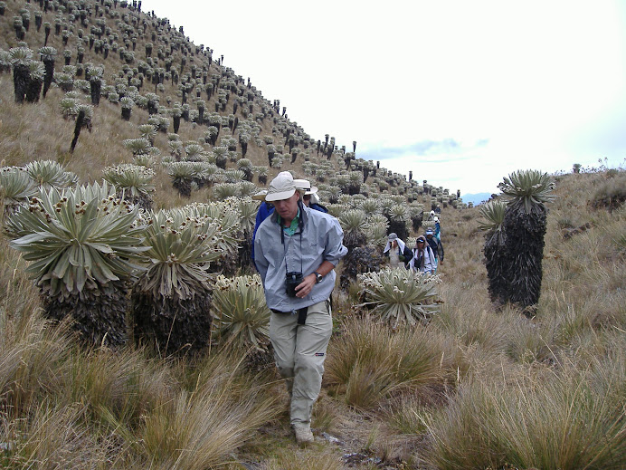 caminando en el páramo