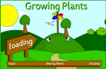 GROWING PLANTS