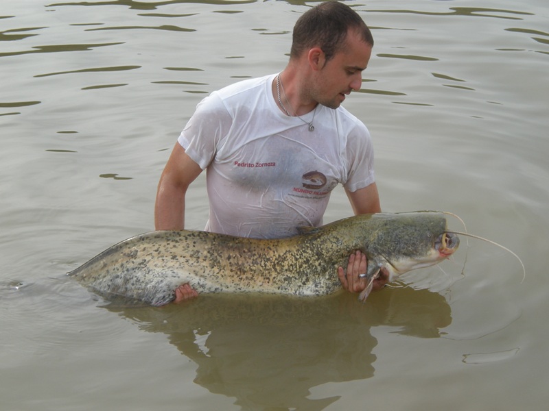 La Pesca una Forma de Vida