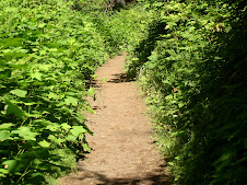 Greenest Path