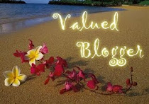 Valued Blogger!