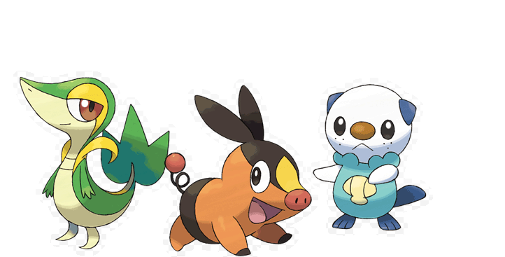 starters for pokemon black and pokemon black and white starters fully. starters for pokemon black and