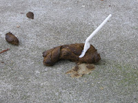 Dog Poop - Near 17th & Eureka - Marked With A Fork
