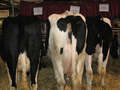 the Farm Show last night.