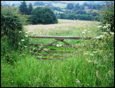 Gate into field at {SE 721 956}. Gate into field