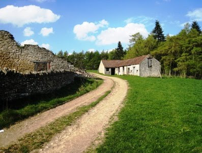 Remains of Rea Garth Farm, Riccal Dale Rea Garth