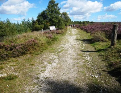 Setting off: leaving Newgate Bank Track on Reivaulx Moor