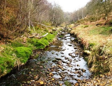 Ford at Tripsdale Beck Tripsdale Beck