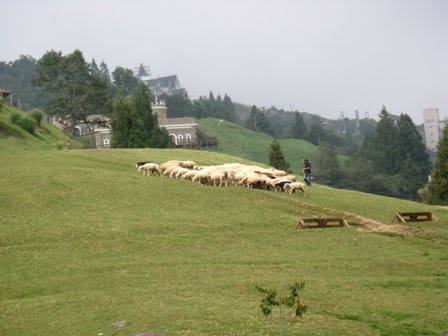[DSC09577.JPG]
